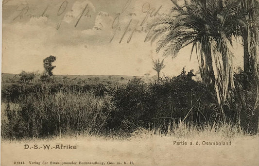 PC0162 - DSWA Postkarte, Partie im Owamboland - 1909 / GSWA postcard, Owamboland