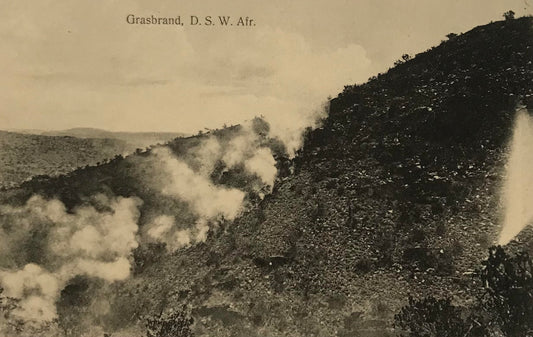 PC0174 - DSWA Postkarte - Grassbrand / GSWA postcard - grass fire