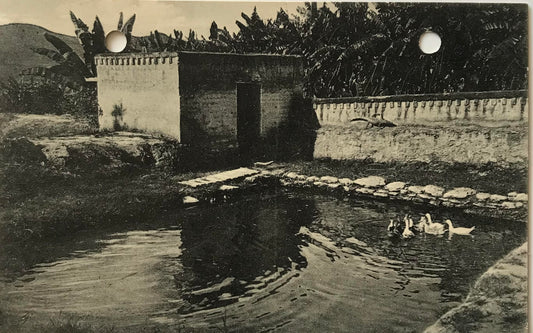 PC0184  - DSWA Postkarte  - Enten im Damm bei Missionar Meier - Nov.1914 / DSWA postcard - Ducks in the dam at Missionary Meier - Nov.1914