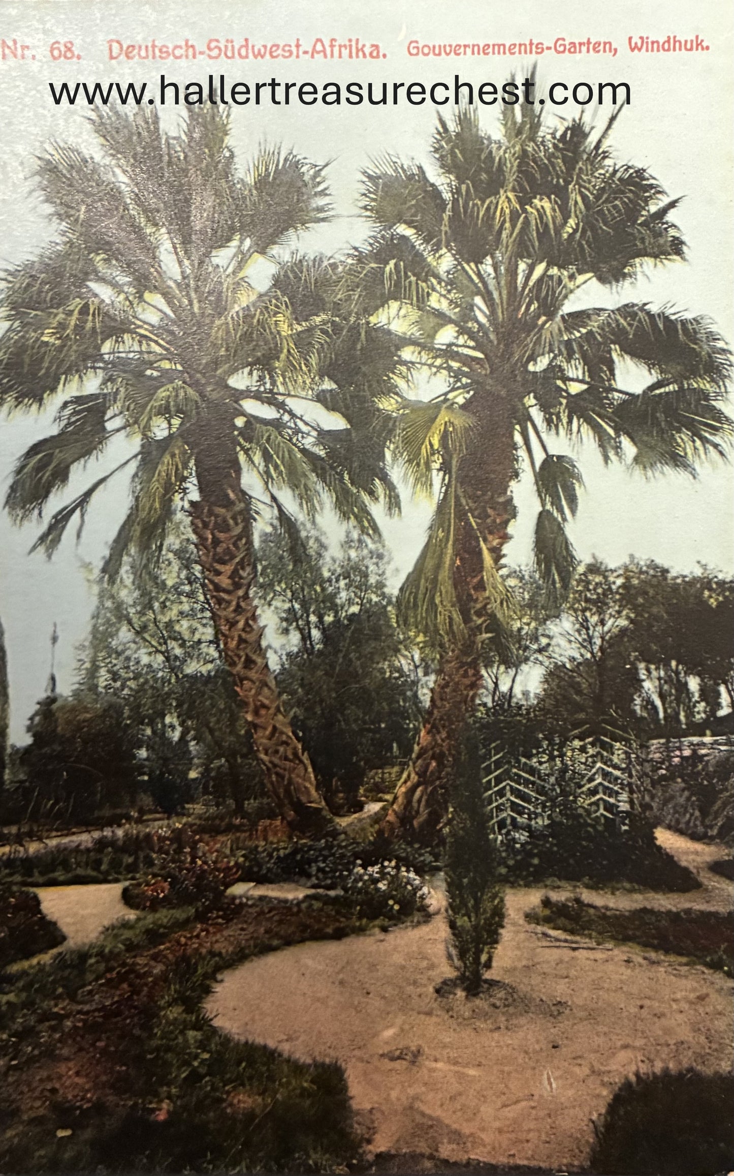 PC A 003.1 DSWA - Garten der Deutschen Schutztruppe in Windhuk / GSWA - garden in Windhuk