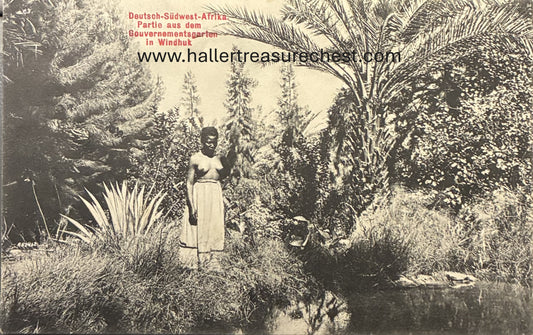 PC A 005.1 DSWA Postkarte, Partie aus dem Gouvermentsgarten in Windhuk / party from the Governments garden in Windhuk
