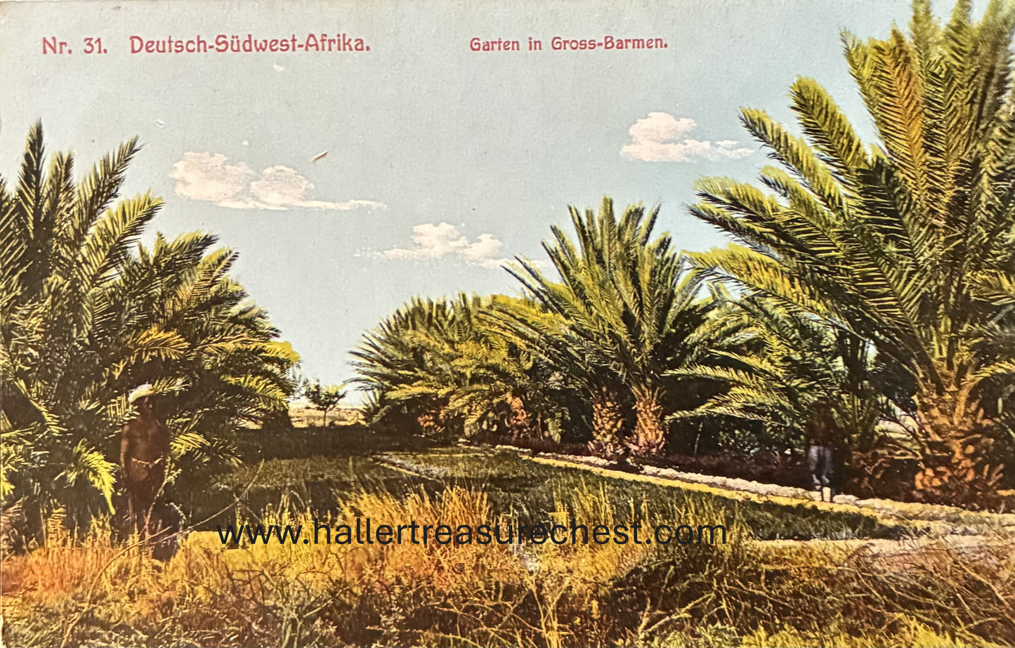 PC Nord-Süd 12.1 DSWA - Garten in Gross Barmen /  GSWA - garden in Gross Barmen