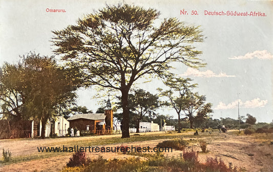 PC Nord-Süd 12.7 DSWA - Omaruru unter Bäumen / GSWA - Omaruru under trees