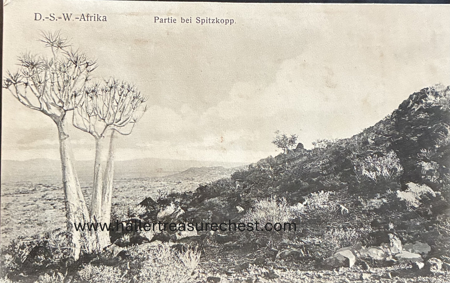 PC Nord-Süd 16.6. DSWA - Partie Spitzkopje / GSWA - base at Spitzkopje