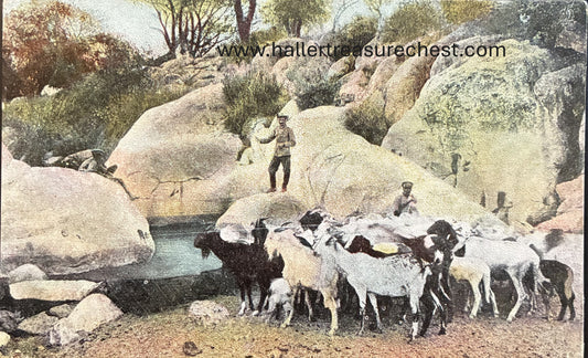 PC Nord-Süd 17.3 DSWA - Wasserstelle Epako bei Omaruru / GSWA - watering hole Epako near Omaruru