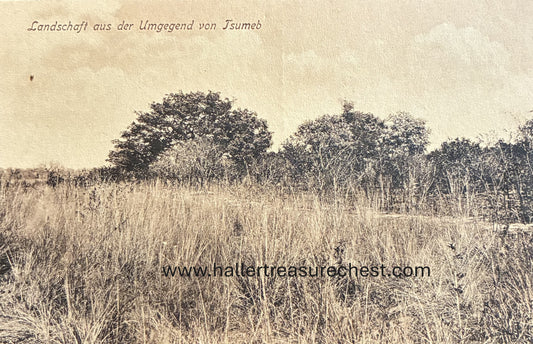 PC Nord-Süd 19.1. Landschaft aus der Umgegend von Tsumeb / GSWA - field close to Tsumeb
