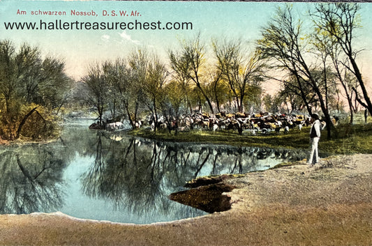 PC Nord-Süd 2.1. DSWA - Am schwarzen Nossob Rivier /  GSWA - At the black Nossob River