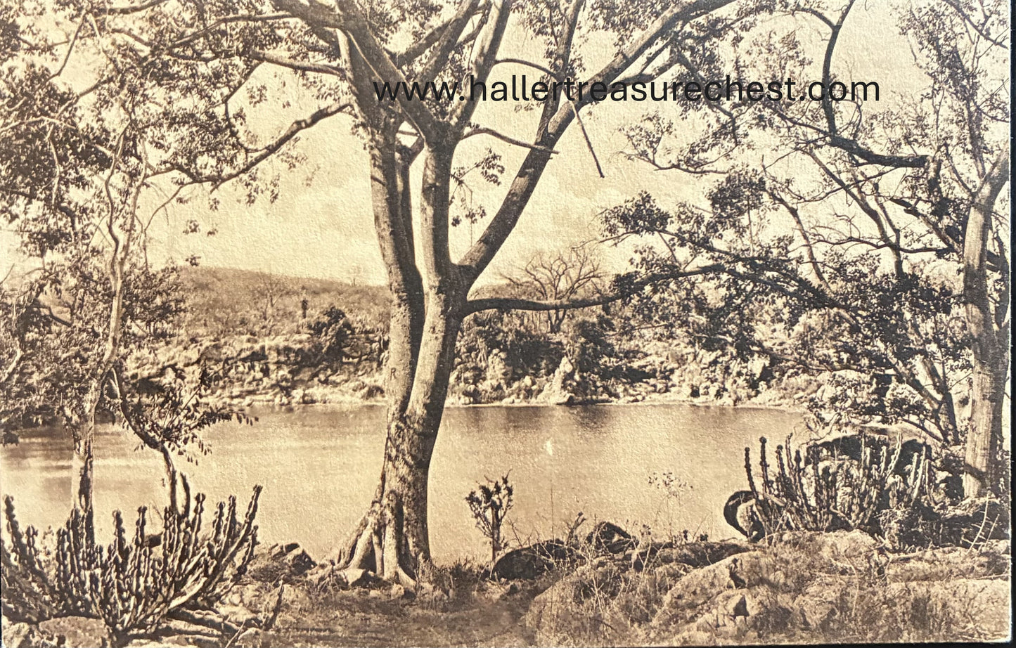 PC Nord-Süd 21.3. DSWA - Otjikotosee bei Tsumeb / GSWA - Lake Otjikoto near Tsumeb