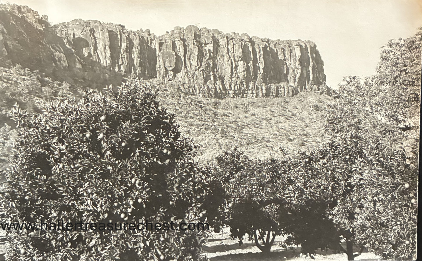 PC Nord-Süd 22.5. SWA - Obstgärten beim Waterberg / SWA – Fruit plantations at the Waterberg