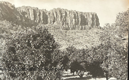 PC Nord-Süd 22.5. SWA - Obstgärten beim Waterberg / SWA – Fruit plantations at the Waterberg