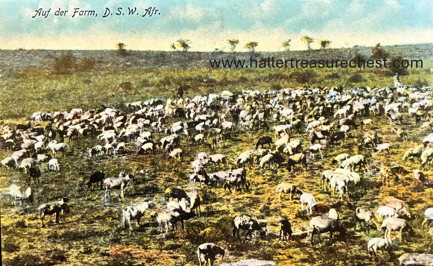 PC Nord-Süd 23.3 DSWA - Auf der Farm, Otavi  / GSWA – On a a farm close to Otavi
