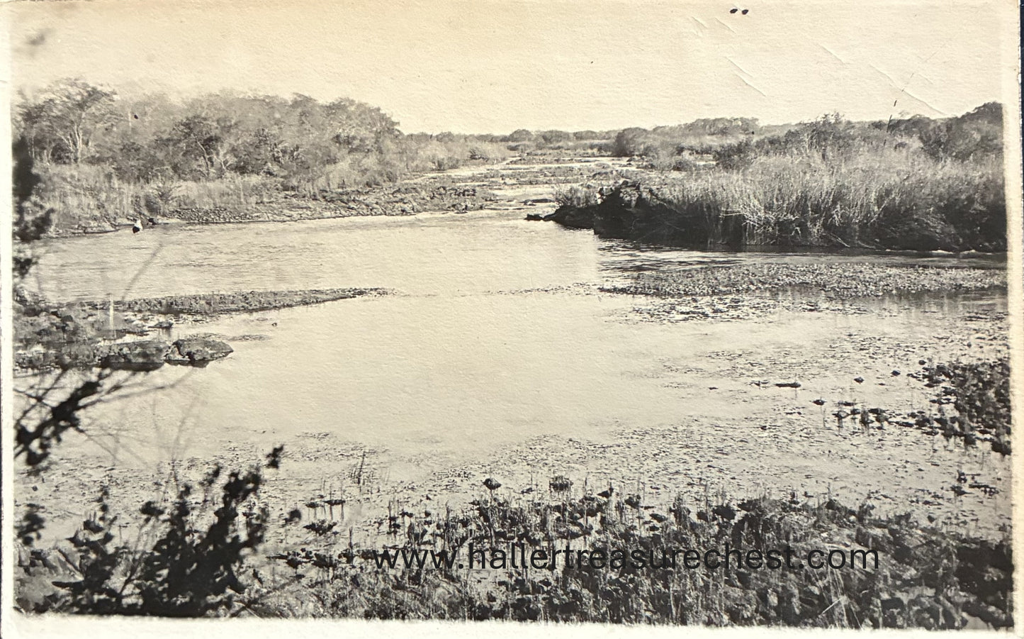 PC Nord-Süd 23.5 DSWA - Fliessendes Revier, Otavi  / GSWA – flowing river, Otavi