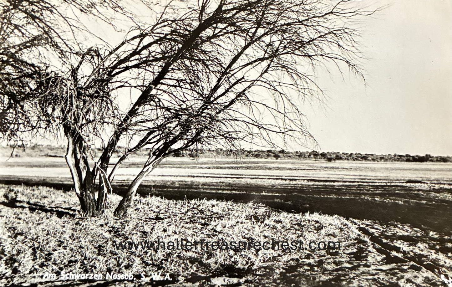PC Nord-Süd 23.6 DSWA - Fliessendes Revier, Otavi  / GSWA – flowing river, Otavi