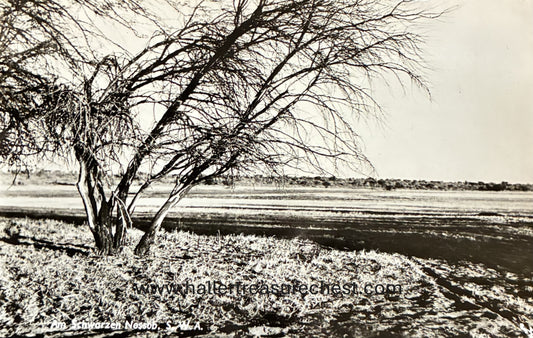 PC Nord-Süd 23.6 DSWA - Fliessendes Revier, Otavi  / GSWA – flowing river, Otavi