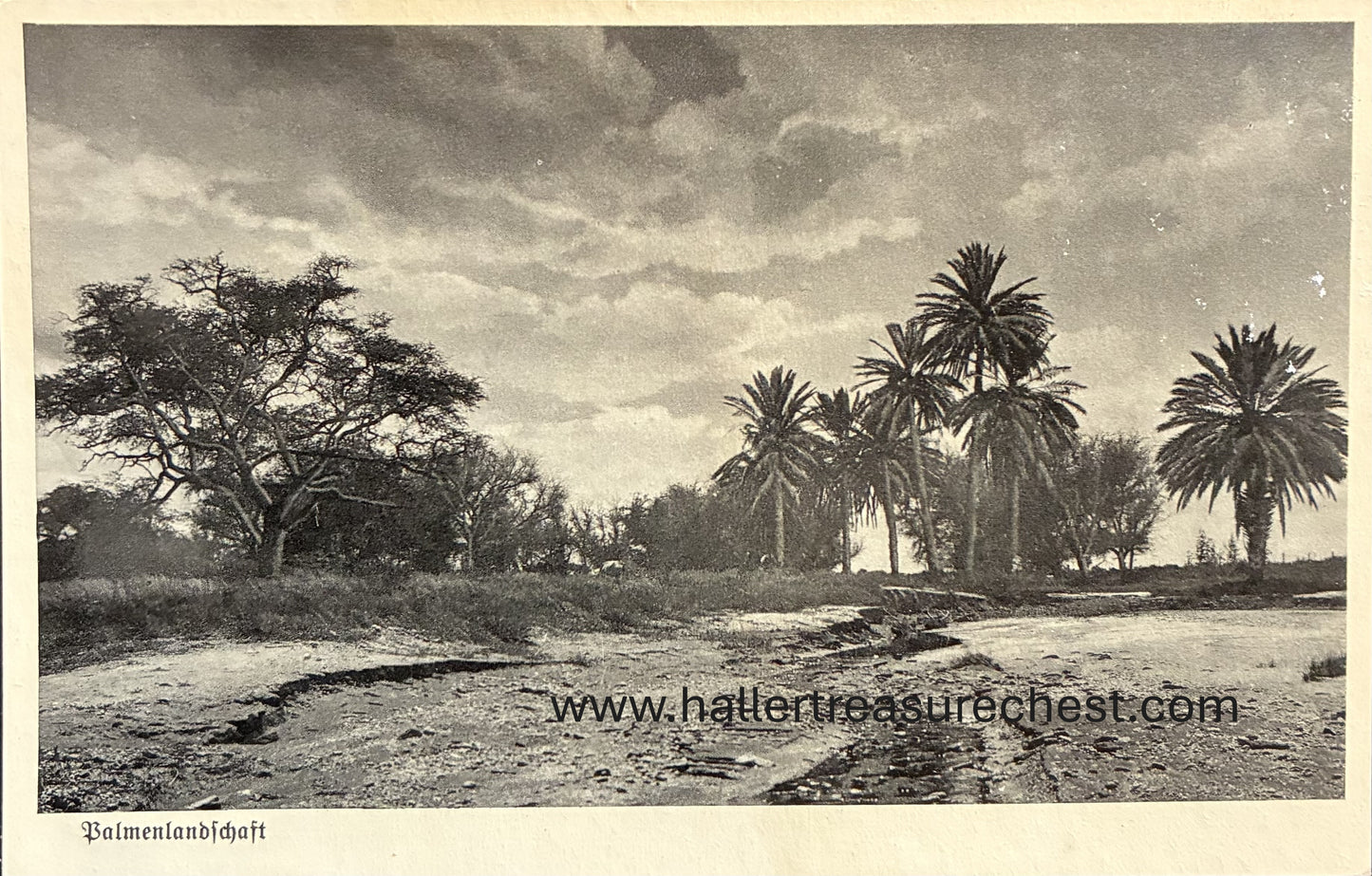 PC Nord-Süd 24.4. DSWA – Palmenlandschaft im Norden des Landes / GSWA - Palm tree landscape in the North