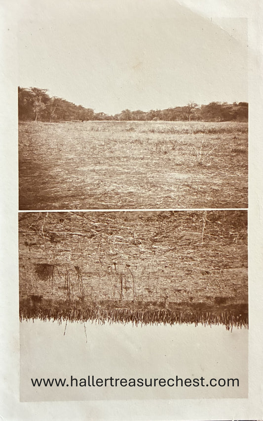 PC Nord-Süd 24.6. DSWA – Maisfelder im Norden des Landes  / GSWA - Maize fields in the North