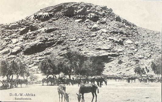 PC Nord-Süd 25.7. DSWA – Esel bei Sandfontein / GSWA - donkeys at Sandfontein
