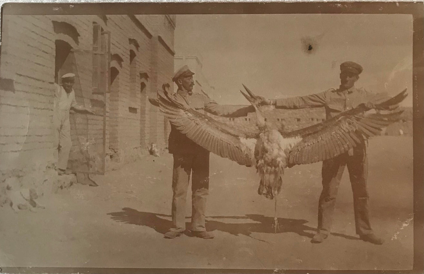 PC STR 14.5. DSWA Postkarte - Schutztruppler mit Maribu Vogel / DSWA Postcard - Protection troopers with Maribu bird
