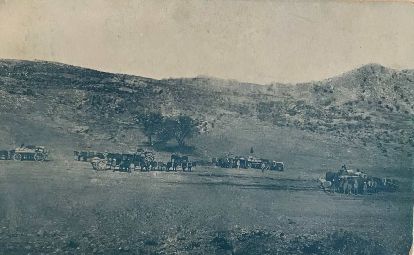 PC STR 3.1. GSWA Postcard - Schutztruppe with horses and wagons resting / DSWA Schutztruppe rastet mit Wagen und Pferden