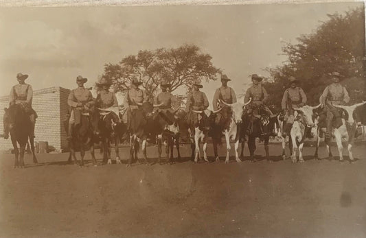 PC STR 8.6. DSWA Schutztruppen reiten auf Ochsen / GSWA Schutztruppen riding on Oxen
