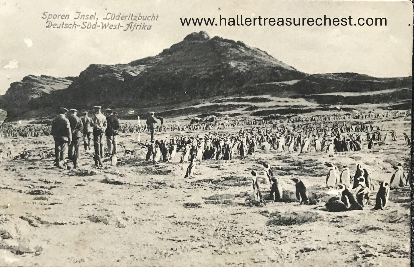 PC SWK-LUD 15.7. DSWA Postkarte - Insel Sporen bei Lüderitzbucht, Franz Spenker Verlag /  GSWA postcard - Sporen Island at Luderitz Bay