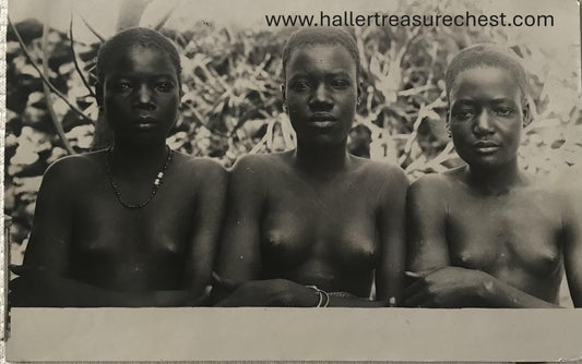 PC Tribes 10.2. DSWA Postkarte - posierende Owambofrauen / GSWA postcard - posing Owambo woman