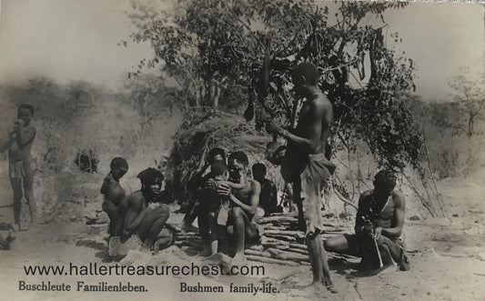PC Tribes 15.4. DSWA Postkarte - Buschleute Familienleben / GSWA post card - bushmen family life
