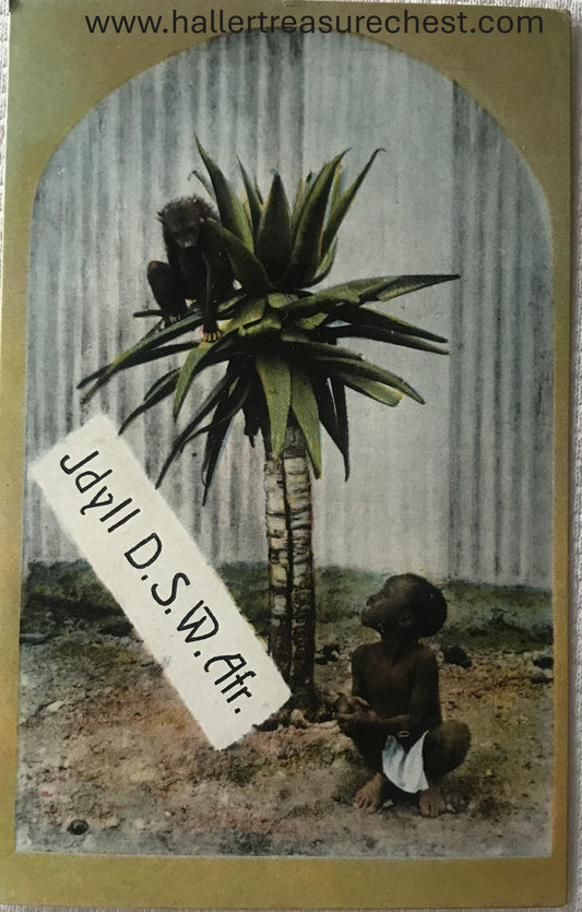 PC Tribes 17.5. DSWA Postkarte - Owambojunge mit Pavian / GSWA post card - Owambo boy with baboon