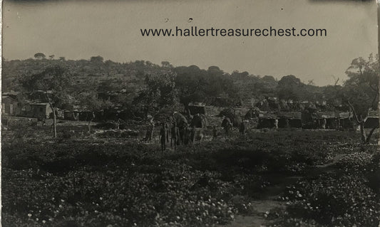 PC Tribes 18.1. SWA Postkarte - Damara Siedlung Juni 1922 / SWA post card - Damara village