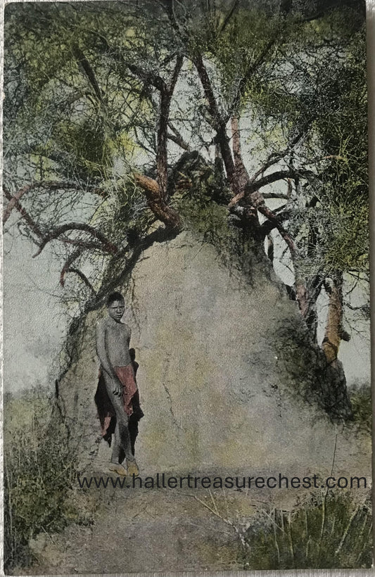 PC Tribes 19.7. DSWA Postkarte - Buschmann neben Riesentermintenhügel / GSWA post card - bushman next to a giant termite hill