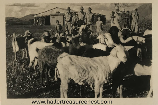 PC Tribes 6.5. SWA Foto - 12er Set Farmleben /  SWA Photos - farmlife - set of 12