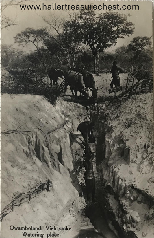 PC Tribes 7.2. DSWA Postkarte - Viehstränke im Owamboland / GSWA postcard - watering place in Owamboland