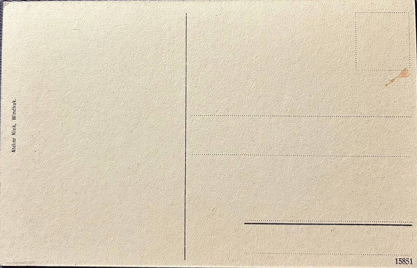 PC Nord-Süd 2.4. DSWA - Aloenwald / GSWA - forest of Aloe plants