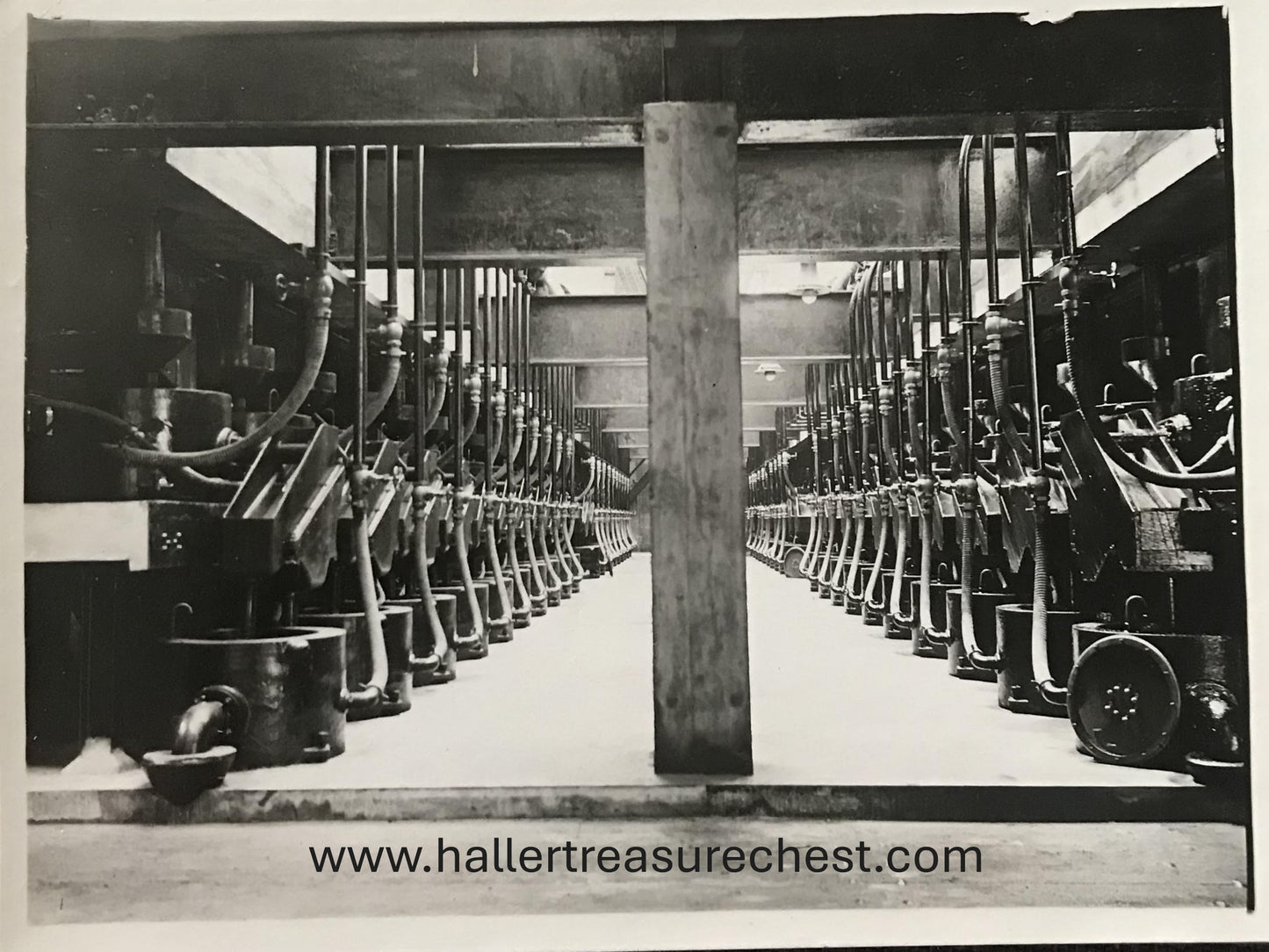 PC SWK-LUD 20.1. SWA Fotos, Satz von 11/12 nummerierten Fotos der Consolidated Diamond Mines Ltd / SWA photos, set of 11/12 numbered postcards of Consolidated Diamond Mines Ltd