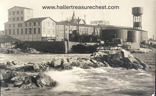 PC SWK-LUD 5.4 DSWA Postkarte, Fischfabrik in Lüderitzbucht / GSWA Postcard - Fish factory in Luderitz Bay