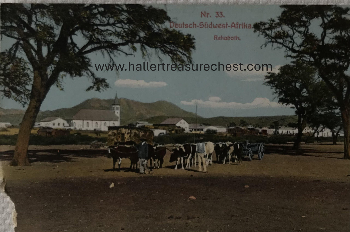 PC Tribes 1.5. DSWA Postkarte - Rehoboth mit Kirche und Rindern / GSWA postcard - Rehoboth with church and cattle