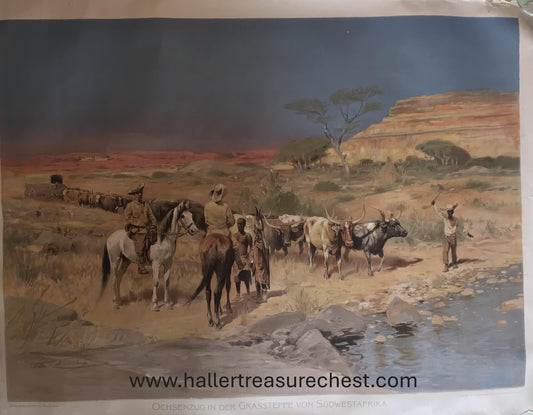 Print SWA 1.1. Poster eines Ochsenwagenzug in der Grassteppe von Südwestafrika / Poster of an ox-wagon train in the grasslands of South West Africa